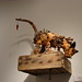 Geoffrey Gorman Photo 18