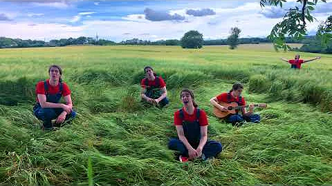 Paula Collier Photo 30