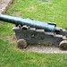 Lacy Cannon Photo 12