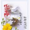 Luong Vo Photo 7