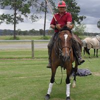 Colin Field Photo 6
