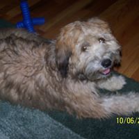 Janet Iverson Photo 3