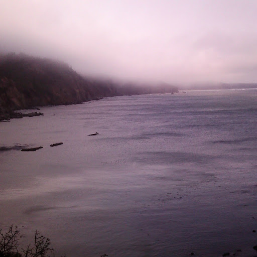 Elaine Marcotte Photo 7
