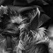 Daisy Baxter Photo 14