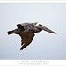 Dan Waddell Photo 36