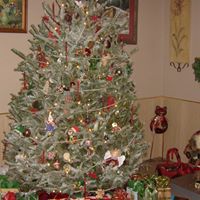 Sue Barr Photo 2