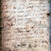 Joy Bible Photo 18