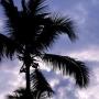 Vinu Abraham Photo 21