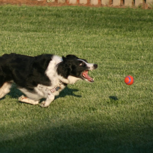 Doug Stroud Photo 11