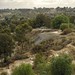 Terry Hunter Photo 48