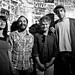 Christopher Haworth Photo 27