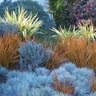 Beth Edelstein Photo 7