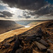 Adam Lamb Photo 54