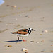Gary Ruddy Photo 16