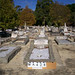 James Hayles Photo 21