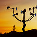 David Boyer Photo 45