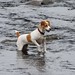 Jack Mcdougall Photo 35