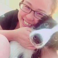 Cindy Shih Photo 3