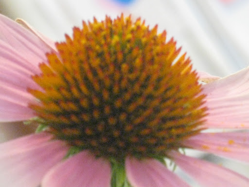 Heide Anderson Photo 4