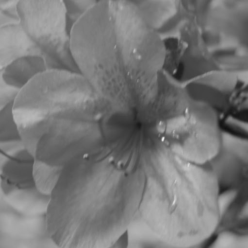 Nicole Gerdes Photo 10