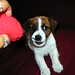 Russell Chester Photo 26