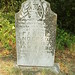 Laurel Knight Photo 26