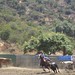 Tara Crooks Photo 26