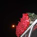Sang Cho Photo 42