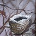 Barbara Mccarter Photo 34