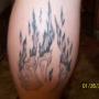 John Thornhill Photo 44