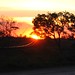 Elias Nader Photo 24