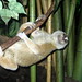 Lori Wild Photo 28