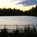 Beverly Pond Photo 19