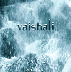 Vaishali Desai Photo 15