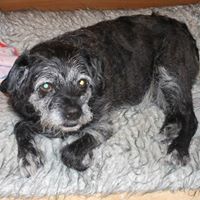 Wilma Henderson Photo 1