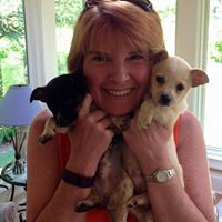 Cathy Deane Photo 3