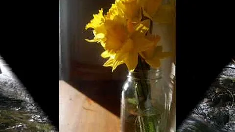 Wanda Harrell Photo 30