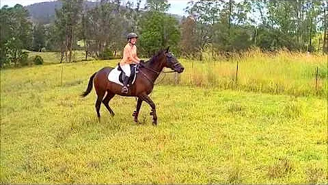 Anna Blaylock Photo 14