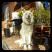 John Drozda Photo 19