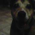 Benjamin Murillo Photo 5