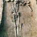 Zhiqing Zhang Photo 18