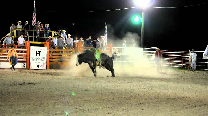 Travis Finley Photo 33
