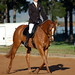 Candice Rushing Photo 22