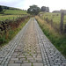 Spencer Lane Photo 39