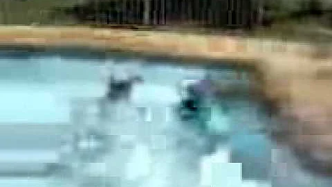 Clinton Mckee Photo 17
