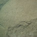 Steven Ripple Photo 25