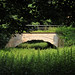 Michael Zentner Photo 15