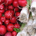 Sue Leek Photo 16