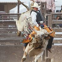 Jimmy Schuster Photo 1