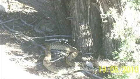 Kevin Quail Photo 19